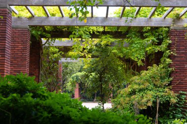 Kırmızı tuğlalı ve ağaçlı güzel bir park manzarası. Düsseldorf, Almanya 'da Nordpark' ın doğal sonbahar manzarası.