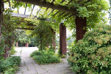 Kırmızı tuğlalı ve ağaçlı güzel bir park manzarası. Düsseldorf, Almanya 'da Nordpark' ın doğal sonbahar manzarası.