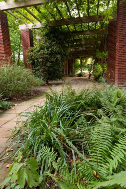Kırmızı tuğlalı ve ağaçlı güzel bir park manzarası. Düsseldorf, Almanya 'da Nordpark' ın doğal sonbahar manzarası.