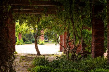 Kırmızı tuğlalı ve ağaçlı güzel bir park manzarası. Düsseldorf, Almanya 'da Nordpark' ın doğal sonbahar manzarası.