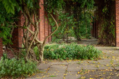 Kırmızı tuğlalı ve ağaçlı güzel bir park manzarası. Düsseldorf, Almanya 'da Nordpark' ın doğal sonbahar manzarası.