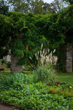 Taş tuğlalı ve çiçek açan bitkileri olan güzel bir park manzarası. Nordpark, Düsseldorf, Almanya 'nın sonbahar manzarası.