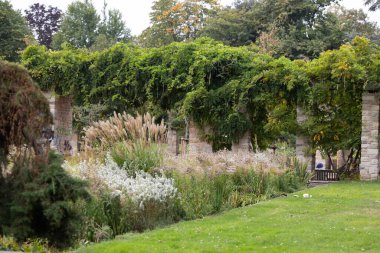 Taş tuğlalı ve çiçek açan bitkileri olan güzel bir park manzarası. Nordpark, Düsseldorf, Almanya 'nın sonbahar manzarası.