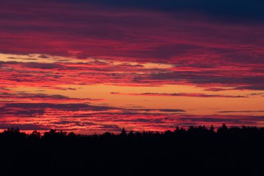 Renkli gündoğumu gökyüzüne sahip güzel bir minimalist manzara. Letonya kırsalının parlak yaz manzarası, Kuzey Avrupa.