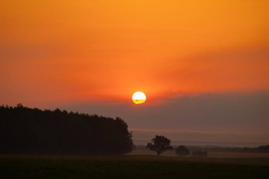 Ufkun üzerinde yükselen güzel kırmızı bir güneş diski. Letonya, Kuzey Avrupa 'da yazın doğal manzarası.
