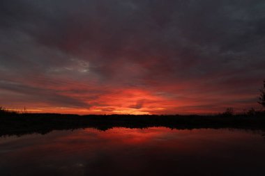 Su birikintisinde güzel bir gündoğumu yansıması. Letonya, Kuzey Avrupa 'nın doğal bir yaz sabahı manzarası.