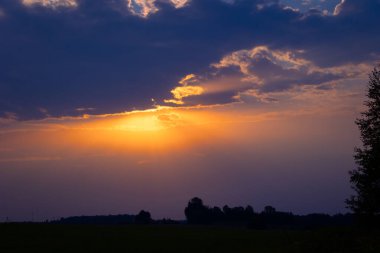 Renkli gündoğumu gökyüzüne karşı güzel bir ağaç silueti. Letonya kırsalının doğal yaz manzarası, Kuzey Avrupa.