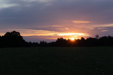 Renkli gündoğumu gökyüzüne karşı güzel bir ağaç silueti. Letonya kırsalının doğal yaz manzarası, Kuzey Avrupa.