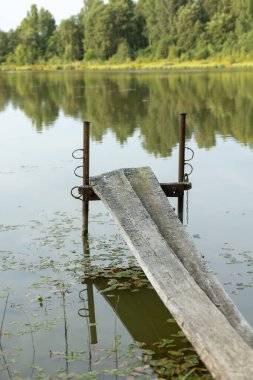Orman Gölü 'nün güzel bir yaz manzarası. Letonya kırsalının doğal manzarası, Kuzey Avrupa.