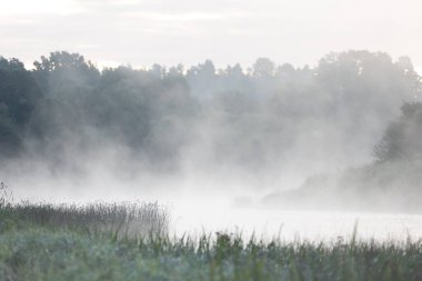 Nehrin kıyısında güzel, sisli bir yaz sabahı. Letonya kırsalının doğal manzarası.