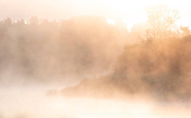 Nehrin kıyısında güzel, sisli bir yaz sabahı. Letonya kırsalının doğal manzarası.