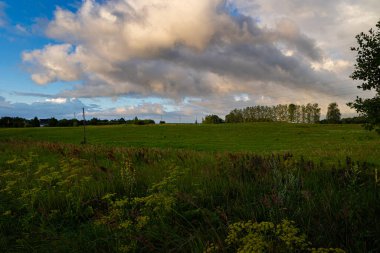 Bulutlu bir günde güzel bir atmosferik çayır manzarası. Letonya kırsalının doğal yaz manzarası.