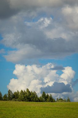 Bulutlu bir günde güzel bir atmosferik çayır manzarası. Letonya kırsalının doğal yaz manzarası.