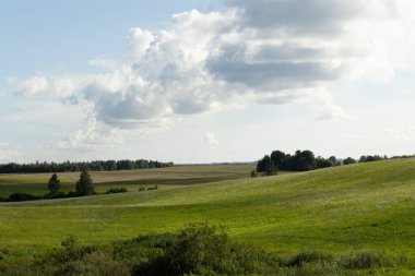 Bulutlu bir günde güzel bir atmosferik çayır manzarası. Letonya kırsalının doğal yaz manzarası.