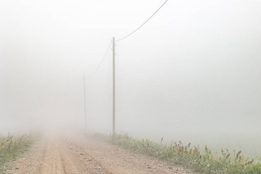 Kırsal çakıl yolu olan güzel sisli çayır manzarası. Letonya 'nın doğal yaz manzarası.