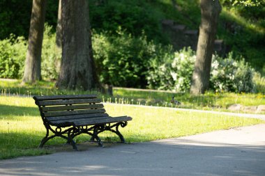 Riga 'daki yeşil halka açık parkta güneşli güzel bir gün. Letonya 'da parlak yaz manzarası.