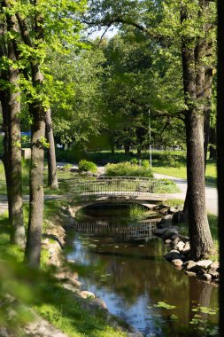 Riga 'daki parktaki kanal üzerinde güzel bir köprü. Letonya 'nın güneşli yaz manzarası, Kuzey Avrupa.