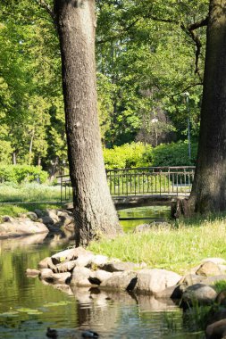 Riga 'daki parktaki kanal üzerinde güzel bir köprü. Letonya 'nın güneşli yaz manzarası, Kuzey Avrupa.