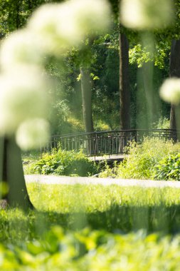 Riga 'daki parktaki kanal üzerinde güzel bir köprü. Letonya 'nın güneşli yaz manzarası, Kuzey Avrupa.