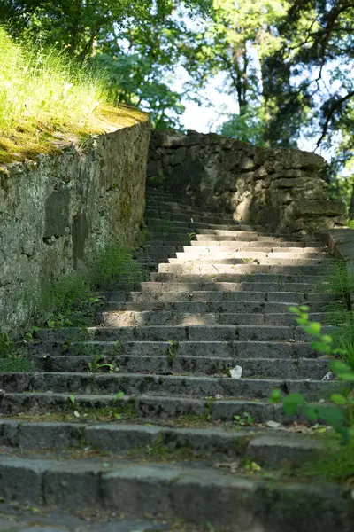 Riga 'daki yeşil halka açık parkta güneşli güzel bir gün. Letonya 'da parlak yaz manzarası.