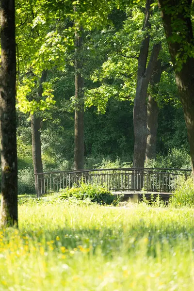 Riga 'daki parktaki kanal üzerinde güzel bir köprü. Letonya 'nın güneşli yaz manzarası, Kuzey Avrupa.