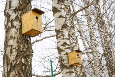 Riga, Letonya 'da güzel, bulutlu bir bahar günü. Başkentin doğal varoşları.