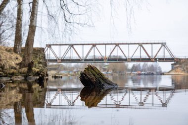 Nehrin üzerindeki metal köprünün yakınındaki ilkbahar detayları. Riga, Letonya 'da Nisan ayında bulutlu bir gün.
