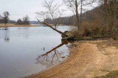 Nehirde güzel, bulutlu bir bahar günü manzarası. Letonya, Kuzey Avrupa 'da bahar manzarası.