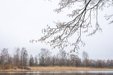 Nehirde güzel, bulutlu bir bahar günü manzarası. Letonya, Kuzey Avrupa 'da bahar manzarası.