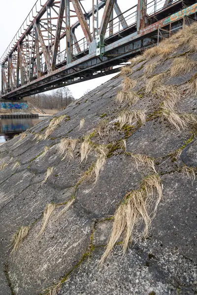 stock image Springtime details near the metal bridge over the river. Overcast april day in Riga, Latvia.