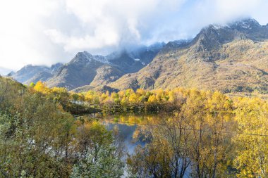 Norveç 'in Lofoten Adaları' ndaki dağ gölünde güneşli bir sonbahar gününde güzel bir huş ağacı yansıması. İskandinavya 'nın mevsimlik manzarası.