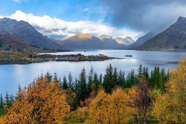 Norveç, Lofoten adalarındaki fiyortların güzel sonbahar manzarası. Kuzey Kutbu sonbaharında senkronize gün. Kuzey Avrupa 'nın mevsimlik İskandinavya manzarası.