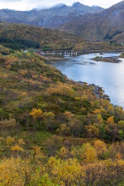 Norveç, Lofoten adalarındaki fiyortların güzel sonbahar manzarası. Kuzey Kutbu sonbaharında senkronize gün. Kuzey Avrupa 'nın mevsimlik İskandinavya manzarası.