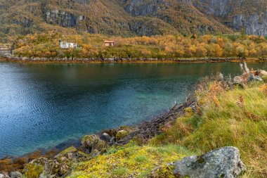 Norveç, Lofoten adalarındaki fiyortların güzel sonbahar manzarası. Kuzey Kutbu sonbaharında senkronize gün. Kuzey Avrupa 'nın mevsimlik İskandinavya manzarası.
