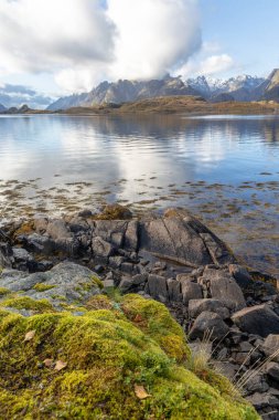 Norveç 'in Lofoten adalarındaki fiyortlarda güneşli bir sonbahar gününde güzel kayalık kıyı manzarası. İskandinavya 'nın mevsimlik manzarası.