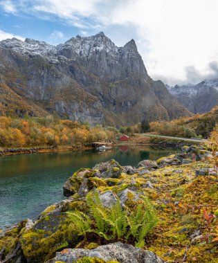 Norveç 'in Lofoten adalarındaki fiyortlarda güneşli bir sonbahar gününde güzel kayalık kıyı manzarası. İskandinavya 'nın mevsimlik manzarası.