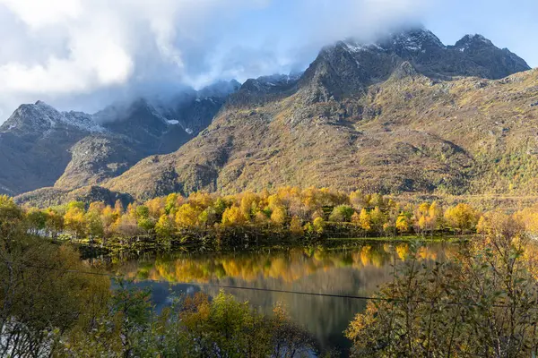 Norveç 'in Lofoten Adaları' ndaki dağ gölünde güneşli bir sonbahar gününde güzel bir huş ağacı yansıması. İskandinavya 'nın mevsimlik manzarası.