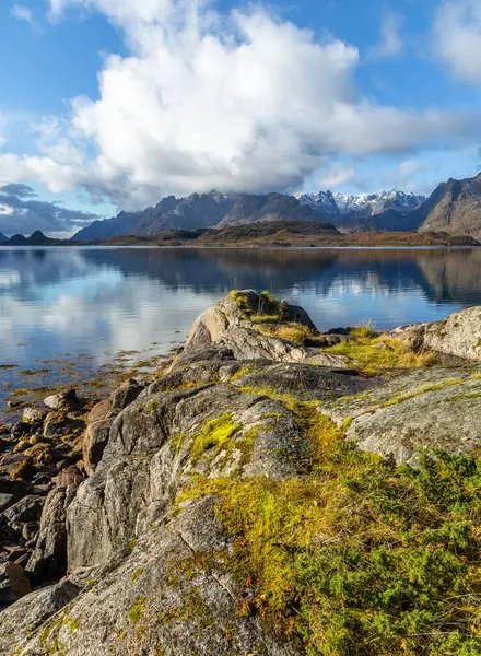 Norveç 'in Lofoten adalarındaki fiyortlarda güneşli bir sonbahar gününde güzel kayalık kıyı manzarası. İskandinavya 'nın mevsimlik manzarası.