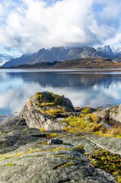 Norveç 'in Lofoten adalarındaki fiyortlarda güneşli bir sonbahar gününde güzel kayalık kıyı manzarası. İskandinavya 'nın mevsimlik manzarası.