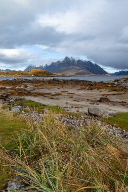 Güneşli bir günde Norveç 'in Svolvaer, Lofoten istanlarının yakınında güzel bir sonbahar manzarası.