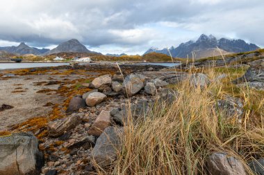 Güneşli bir günde Norveç 'in Svolvaer, Lofoten istanlarının yakınında güzel bir sonbahar manzarası.