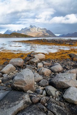 Güneşli bir günde Norveç 'in Svolvaer, Lofoten istanlarının yakınında güzel bir sonbahar manzarası.