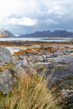 Güneşli bir günde Norveç 'in Svolvaer, Lofoten istanlarının yakınında güzel bir sonbahar manzarası.