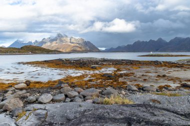 Güneşli bir günde Norveç 'in Svolvaer, Lofoten istanlarının yakınında güzel bir sonbahar manzarası.
