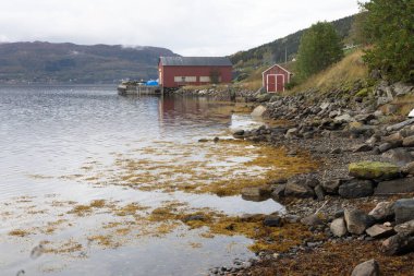 Kuzey Norveç 'te bir fiyortta geleneksel ahşap evler ve yapılar. İskandinavya 'nın mevsimlik manzarası.