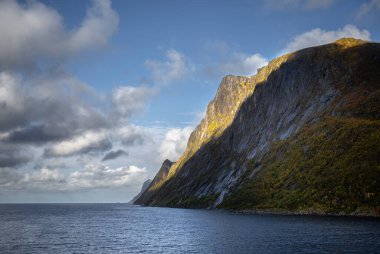 Kuzey Norveç, Senja Adası 'nda altın huş yapraklarıyla güzel bir sonbahar manzarası. İskandinavya mevsimsel manzarası..