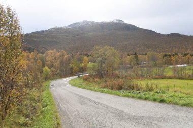 Norveç 'te güzel bir sonbahar manzarası. Renkli ağaçlar ve dağların arasından bir bölük geçiyor. İskandinavya 'nın mevsimlik manzarası.