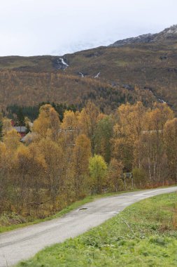 Norveç 'te güzel bir sonbahar manzarası. Renkli ağaçlar ve dağların arasından bir bölük geçiyor. İskandinavya 'nın mevsimlik manzarası.