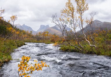 A beautiful autumn landscape with turbulent mountain river in Senja, Norway. Seasonal scenery of Scandinavia. clipart