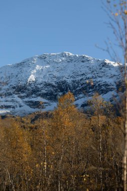 Kuzey Norveç 'te karlı dağ tepeleri olan güzel bir sonbahar manzarası. İskandinavya 'nın mevsimlik manzarası.